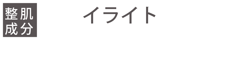 イライト